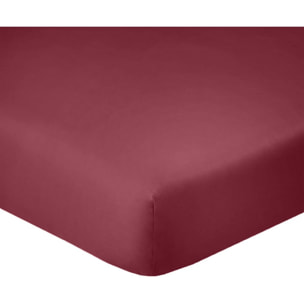 Lot de 2 Draps Housse - Bonnet 35cm 100% Coton 57fils Cerise