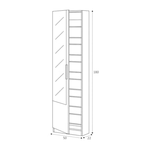 Scarpiera Euro, Armadio portascarpe alta a 1 anta, Mobile portascarpe moderno, Armadio da ingresso con specchio, 50x22h180 cm, Bianco