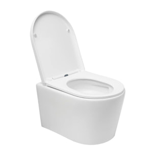 Pack WC bâti ECO 2L Swiss Aqua Technologies + WC suspendu Swiss Aqua Technologies + plaque chrome (STESTBRWT05-FR)