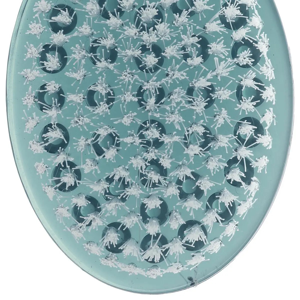 Brosse à dos plastique