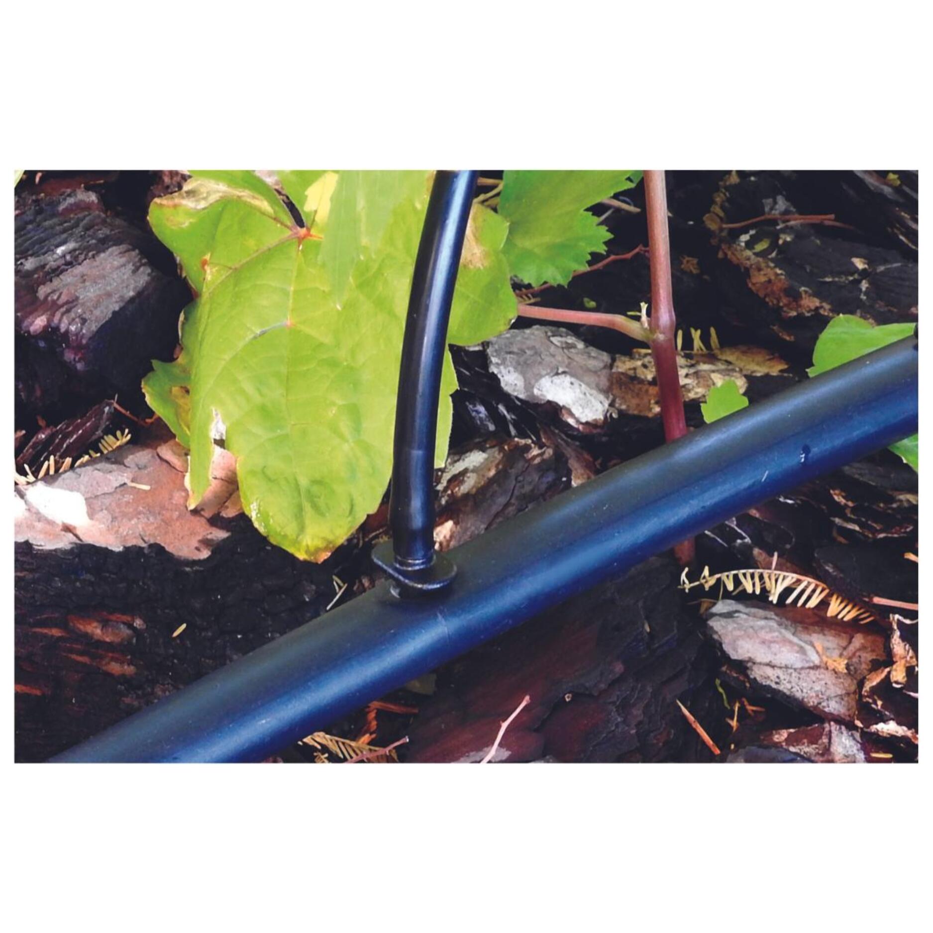PLANETA HUERTO | Enlace para Microtubo 4 mm – Pack 10 Uds, Conexión Segura para Instalaciones de Riego