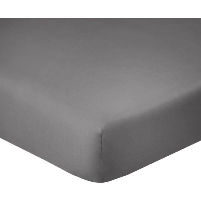 Drap housse coton anthracite