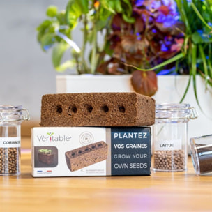 Recharge jardin d'intérieur VERITABLE Lingot Plantez vos propres graines