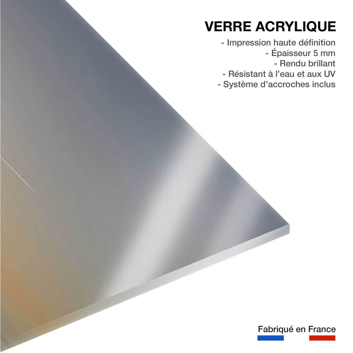 Tableau animaux flamands bleus Tableau plexiglas