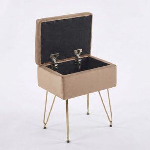 Panca Contenitore in Effetto Velluto con Seduta Imbottita e Vano Portaoggetti, Design Moderno con Gambe in Acciaio per Ingresso, Camera da Letto e Soggiorno