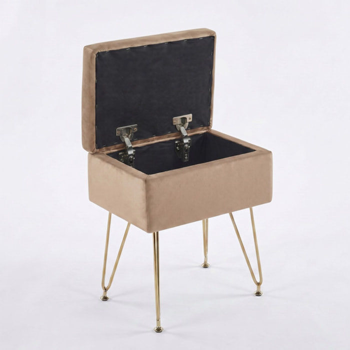 Panca Contenitore in Effetto Velluto con Seduta Imbottita e Vano Portaoggetti, Design Moderno con Gambe in Acciaio per Ingresso, Camera da Letto e Soggiorno