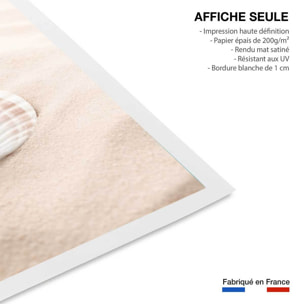 Poster coquillage Affiche seule