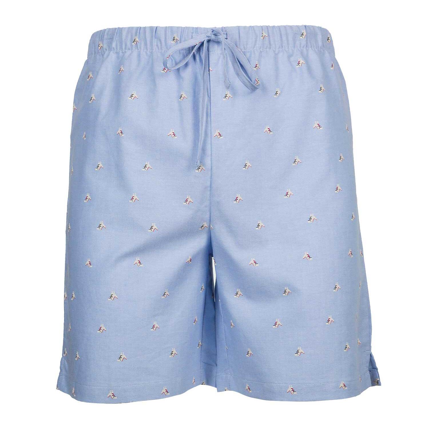 PANTALONCINO ALLEGRINO in cotone celeste microfantasia dinosauri