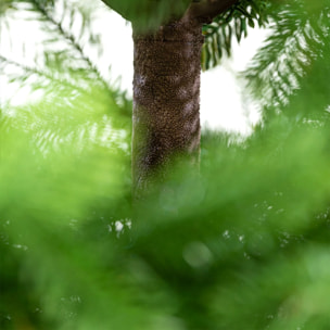 Rothschild - Albero di Natale Tradizionale in PE Ø142x210H cm, 1179 Punte