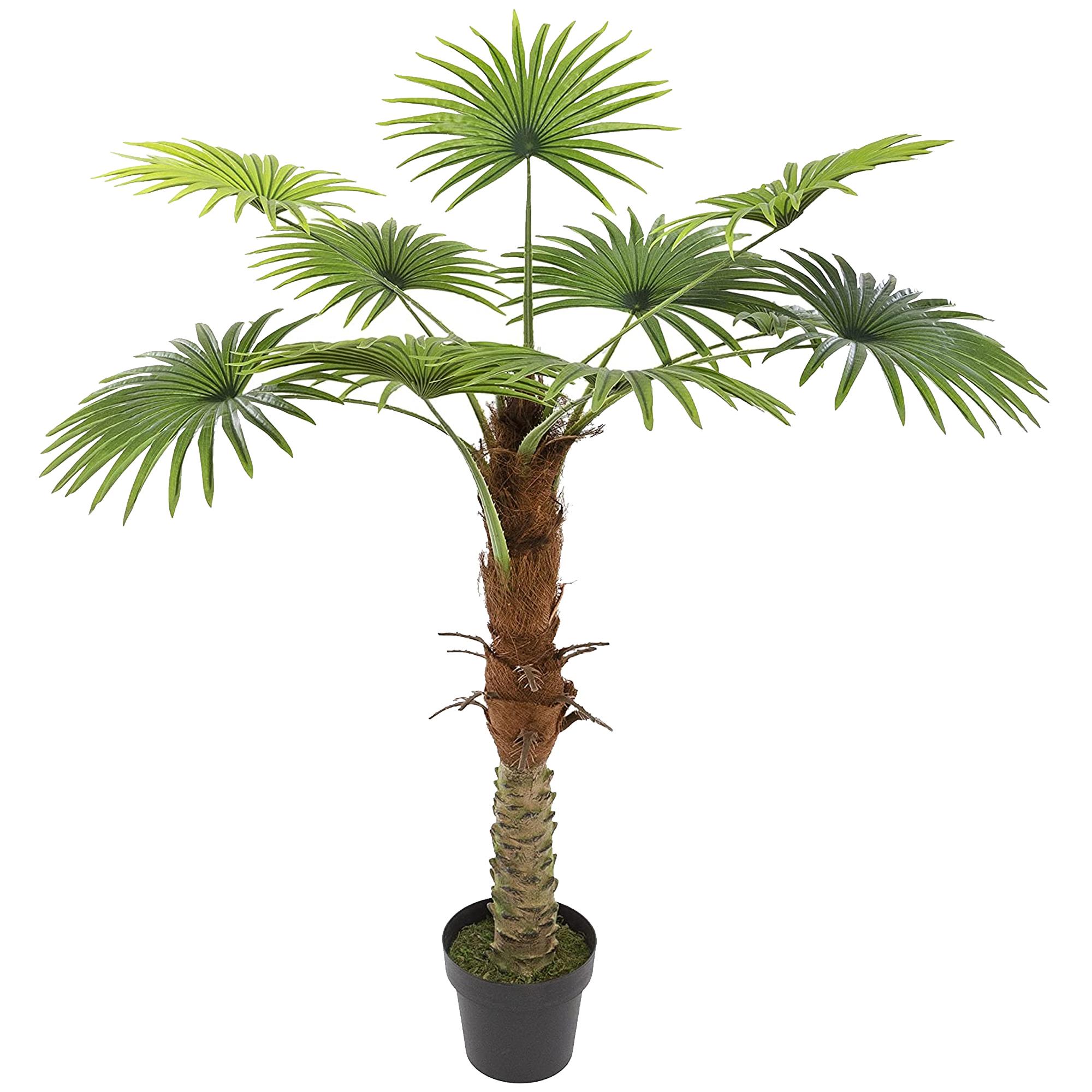 Atmosphera Planta decorativa Tronco de Palmera Atmosphera