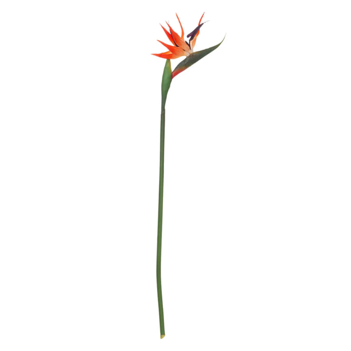 Tige d'oiseau du paradis artificielle H83cm