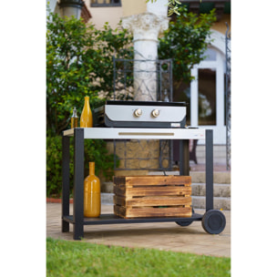 LE MARQUIER - PLANCHA ORIGINAL ELECTRIQUE 260 DUO