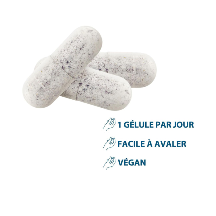 Ducray Complément Alimentaire Anacaps Reactiv - Complément Alimentaire Chute de Cheveux
