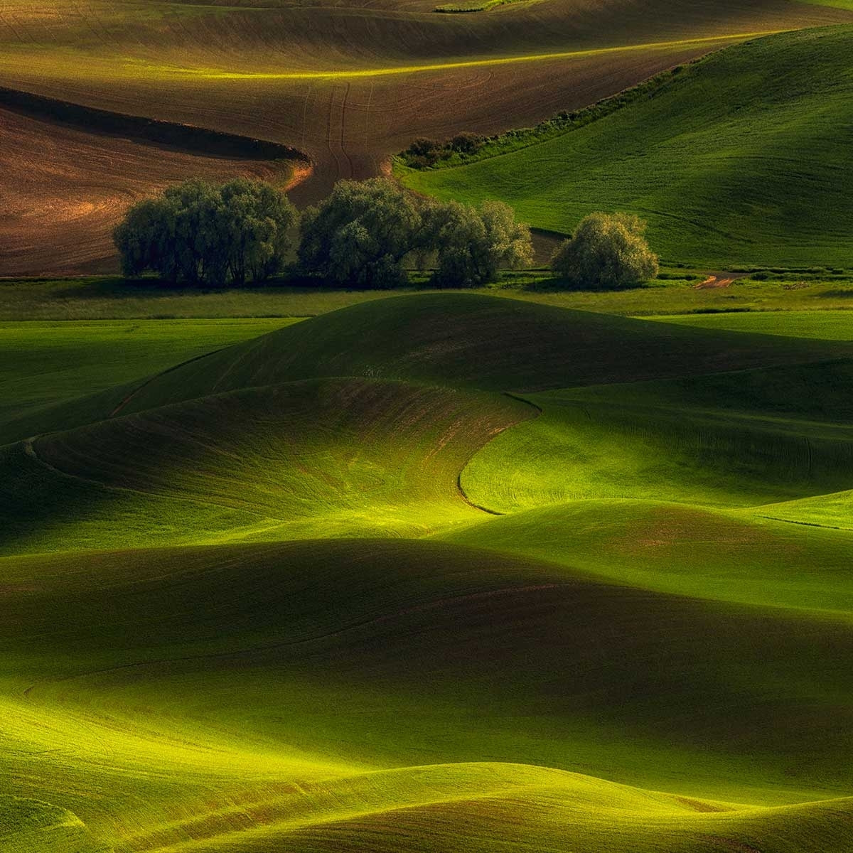 Tableau Colline UsA Tableau alu Dibond