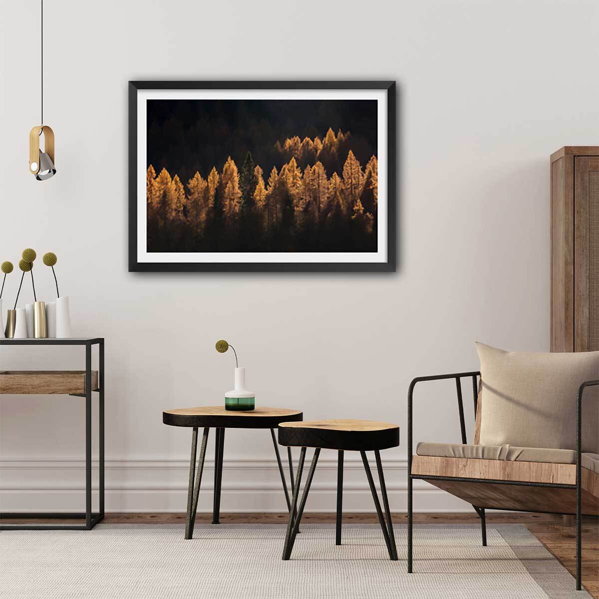 Affiche mélèzes d' automne Affiche sous cadre noir