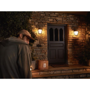 Détecteur PHILIPS HUE Motion Sensor Extérieur