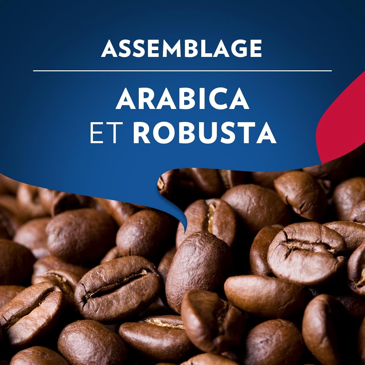 Grains Momento Vivace 1kg