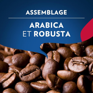 Grains Momento Vivace 1kg