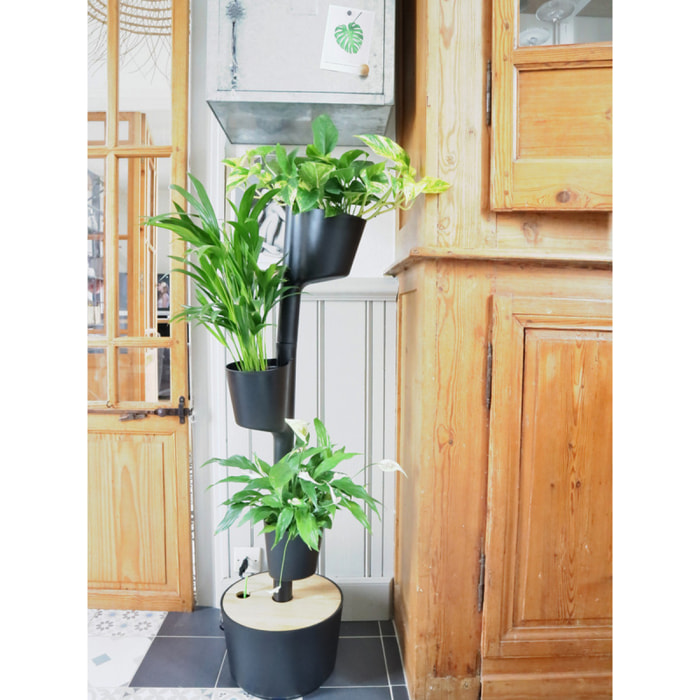 Jardinera vertical con plantas de interior; negro de 3 macetas con riego automático