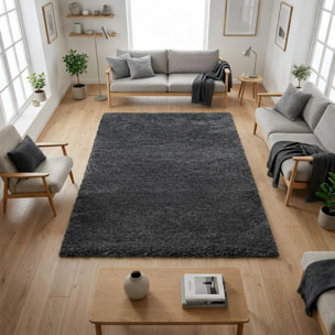 Tapis longs poils shaggy tissé motif uni TENI