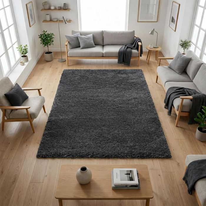 Tapis longs poils shaggy tissé motif uni TENI