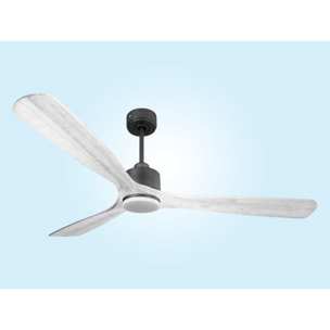 Ventilateur de plafond Réversible  Thermostat Dimmable Wifi Moteur à courant continu Toits en pente Télécommande Lumière à trois tons Hypersilence Mémoire