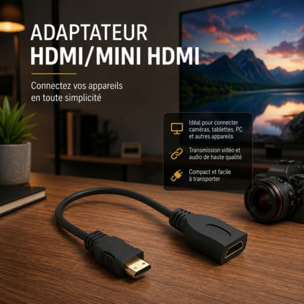 Adaptateur HDMI/Mini HDMI ESSENTIELB HDMI vers mini HDMI