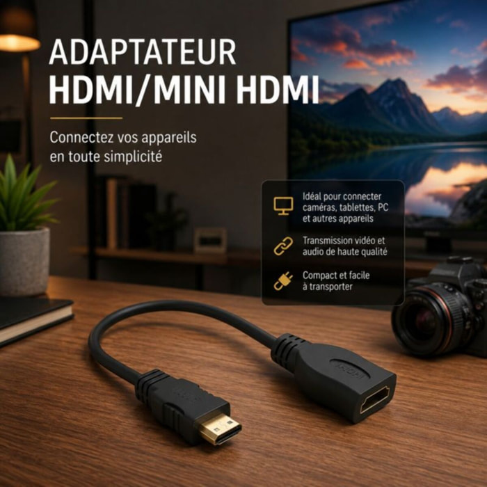 Adaptateur HDMI/Mini HDMI ESSENTIELB HDMI vers mini HDMI