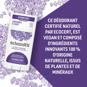 Pack de 3 - SCHMIDT'S Déodorant d'origine naturelle Lavande & Sauge Stick 75g