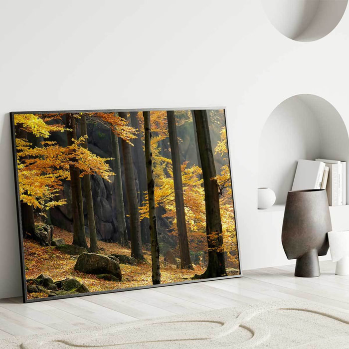 Affiche encadrée forêt d’automne aux couleurs chaudes Affiche + cadre en métal - Noir