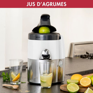 Extracteur de jus MAGIMIX 18085F Juice Expert 3 Chrome et Blanc