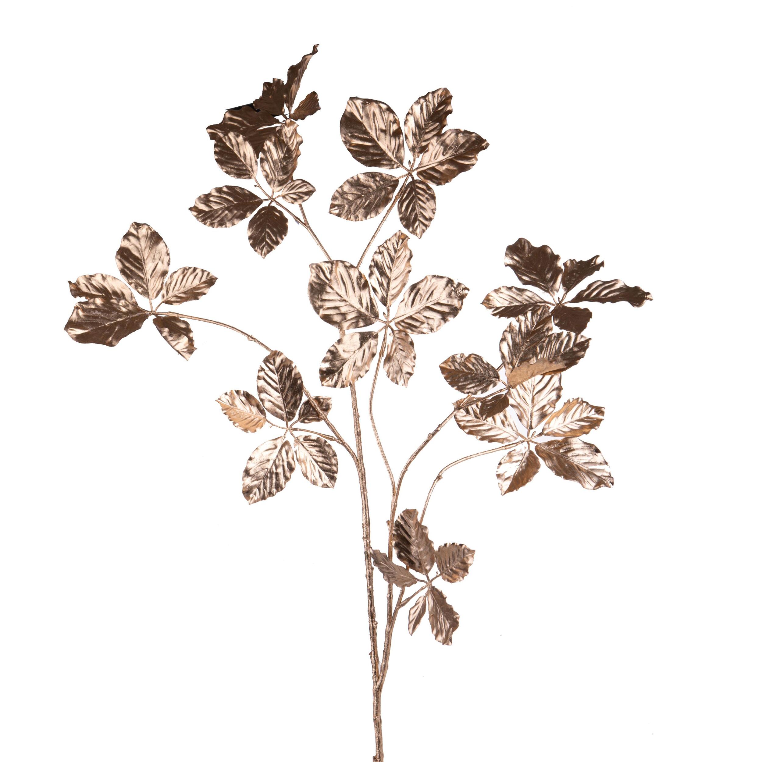 Faggio - Pezzi 6 - 17xH132x18cm - Bianchi Dino SpA