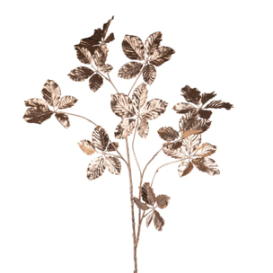 Faggio - Pezzi 6 - 17xH132x18cm - Bianchi Dino SpA