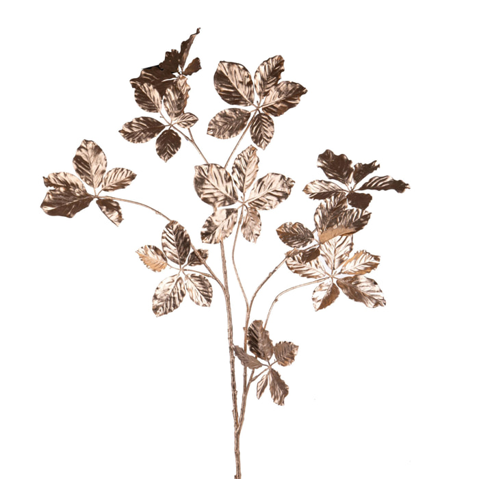 Faggio - Pezzi 6 - 17xH132x18cm - Bianchi Dino SpA