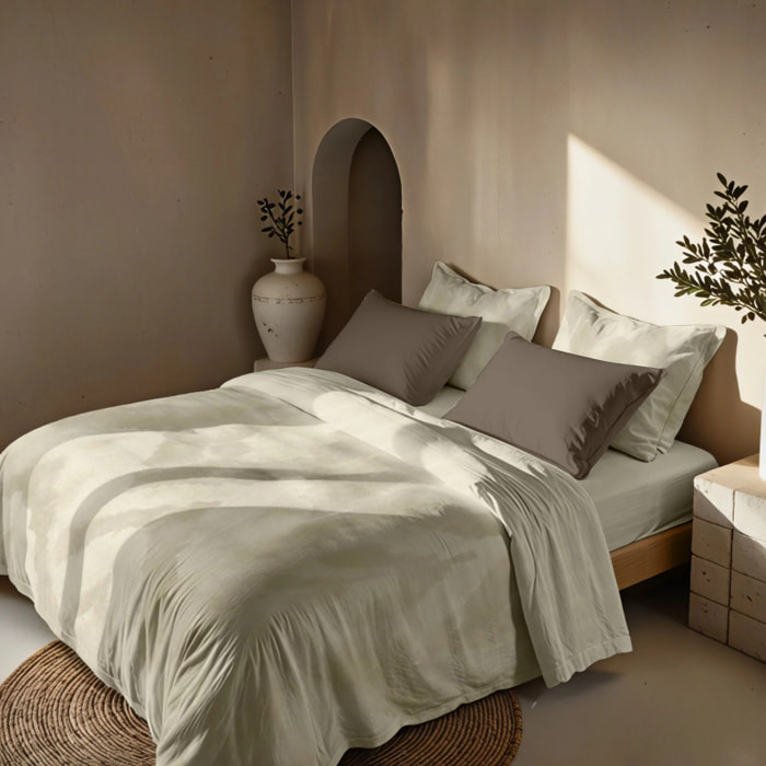Housse de couette 100 % coton 80 fils Naquera
