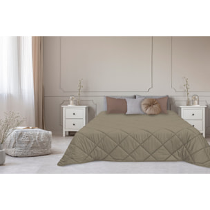 TRAPUNTA INVERNALE VELLUTO LETTO MATRIMONIALE "LE CANNETè" TORTORA PRODOTTO ITALIANO 350 GR/MQ