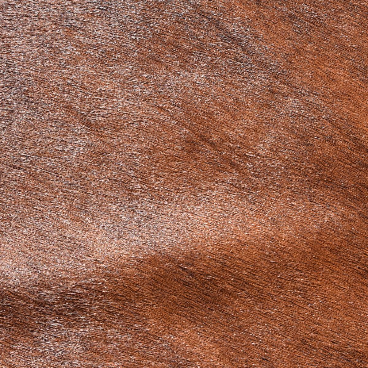 Tapis peau de vache kilm fait à la main BEDA