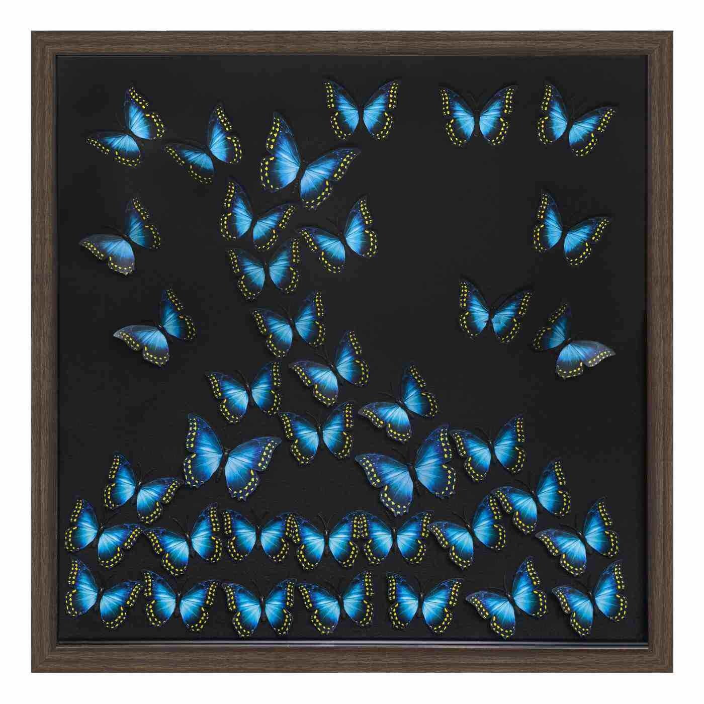 Cuadro marieta mariposas 55x55cm