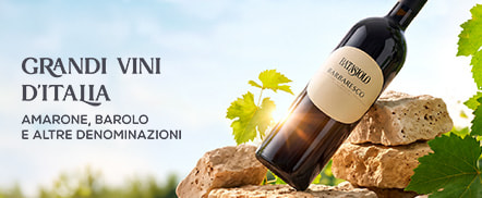 Grandi vini d'Italia