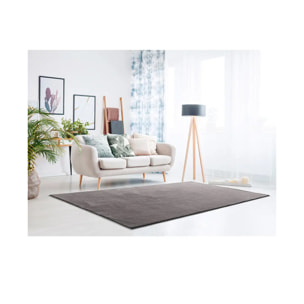 Alfombra Loft Liso Antracita, varias medidas disponibles