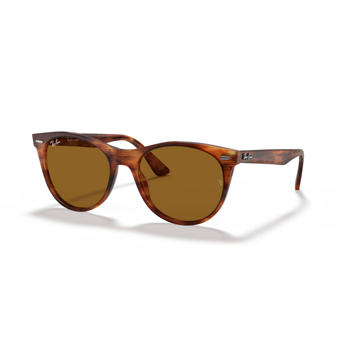 Ray-Ban Gafas de sol para cada estilo de vida RB2185 Wayfarer II