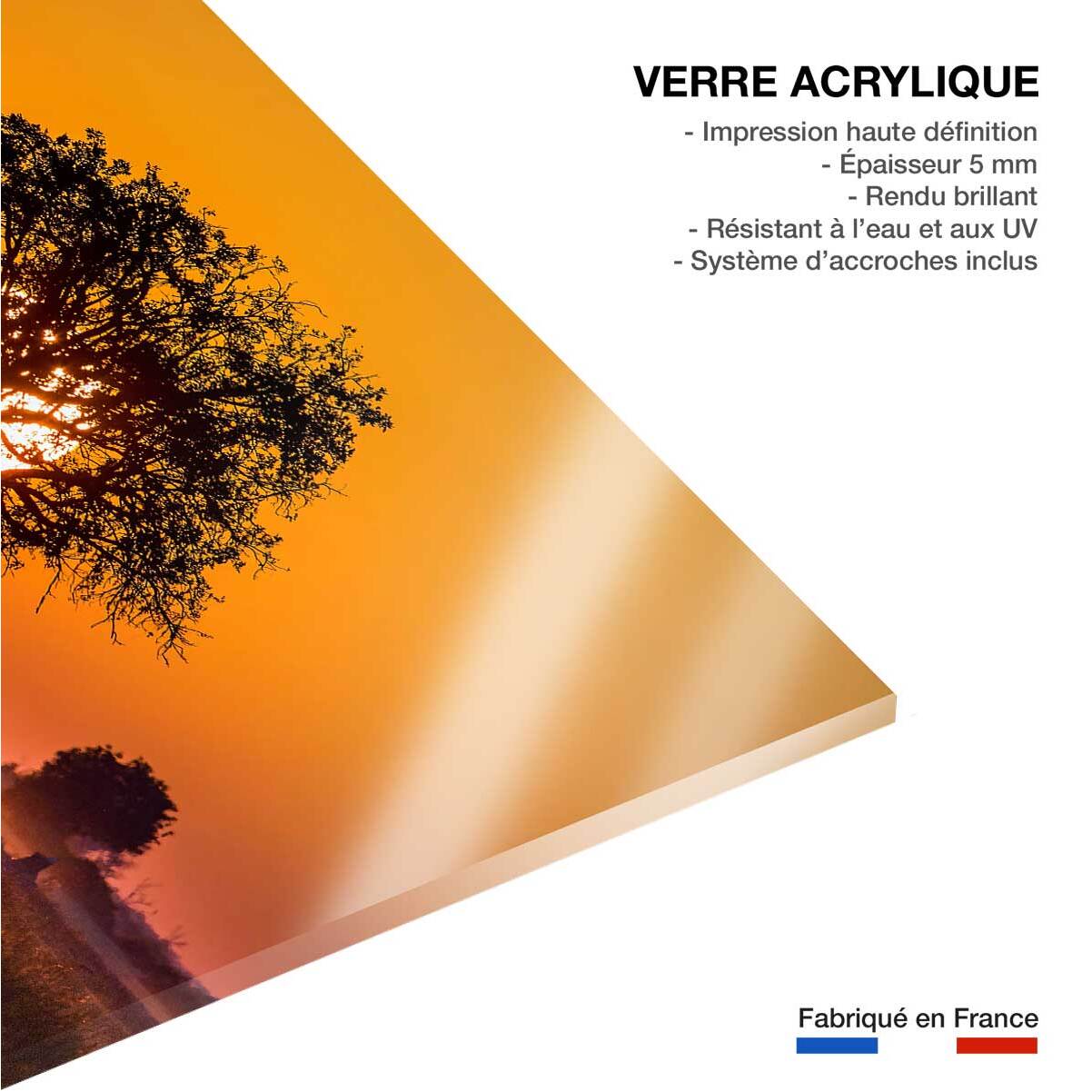 Tableau la savane Tableau plexiglas