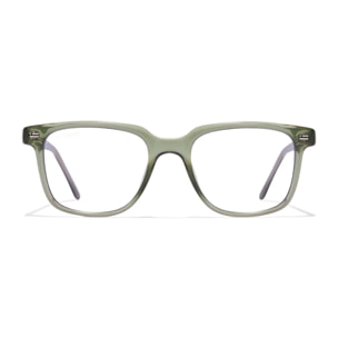 Gafas De Sol D. Franklin Ultra Light SQ Low Full Photochromic Green / Brown