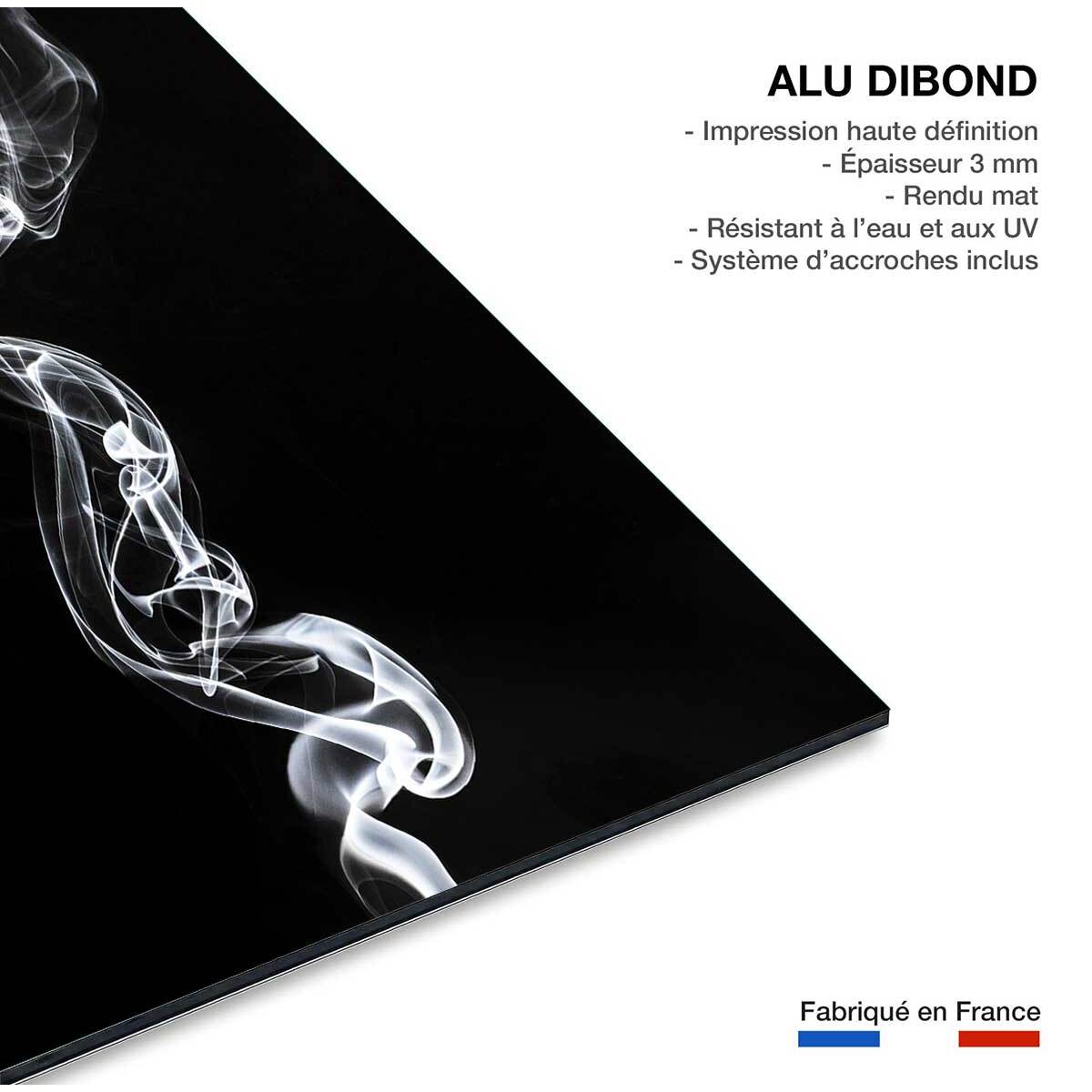 Tableau  white smoke medusa Tableau alu Dibond