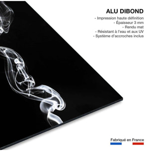 Tableau  white smoke medusa Tableau alu Dibond