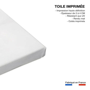 Tableau fleurs serenity  Toile imprimée