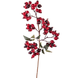 Ramo - Pezzi 6 - 25xH80x12cm - Bianchi Dino SpA