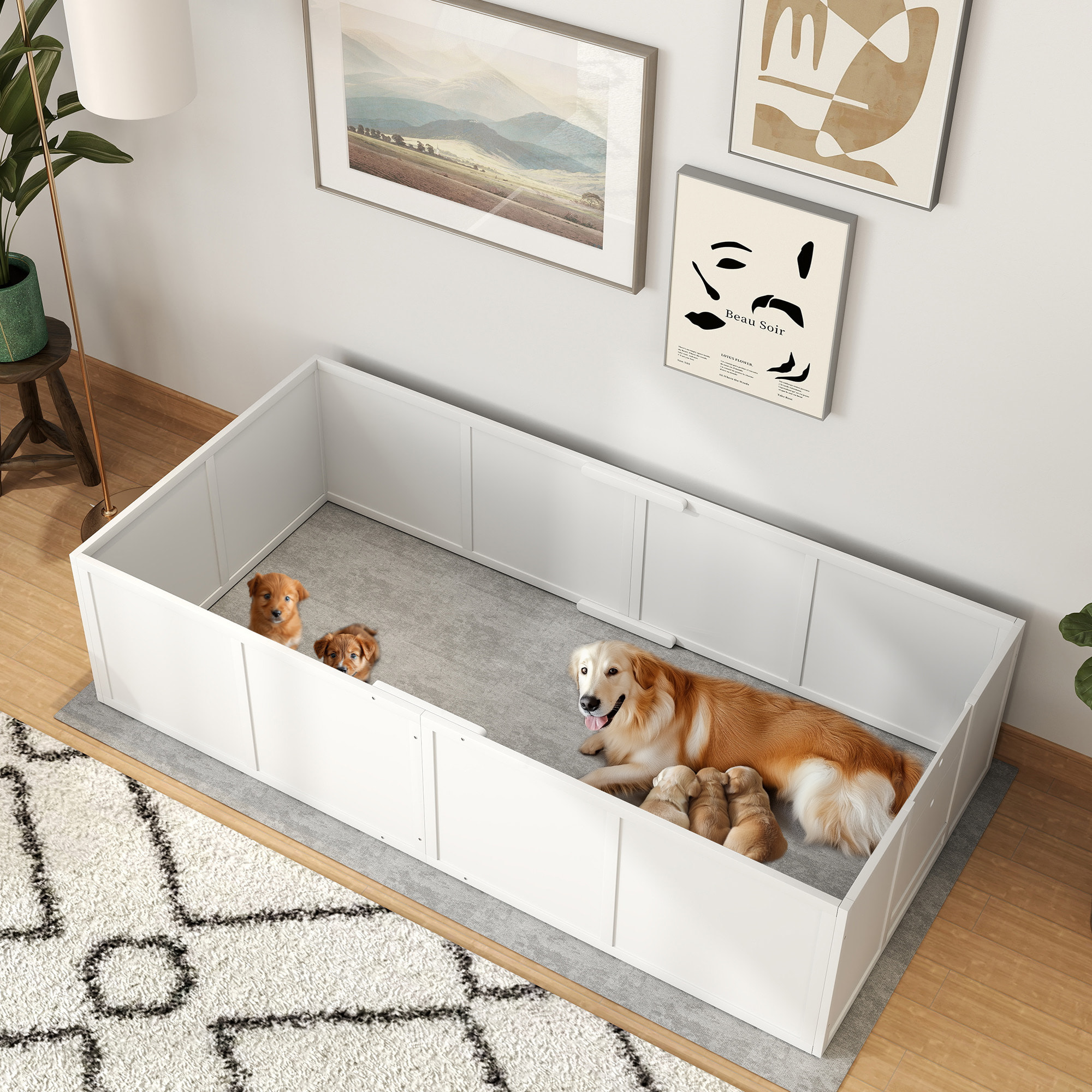 Parc de mise bas pour chien - caisse de mise bas pour chien - hauteur porte réglable - bois pin MDF blanc