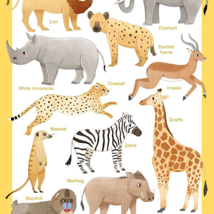 Affiche enfant animaux d'afrique  Affiche sous cadre bois