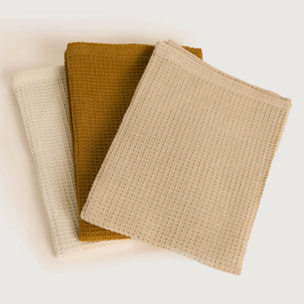 Set 3 paños cocina algodón liso Natural/Topo/Ocre